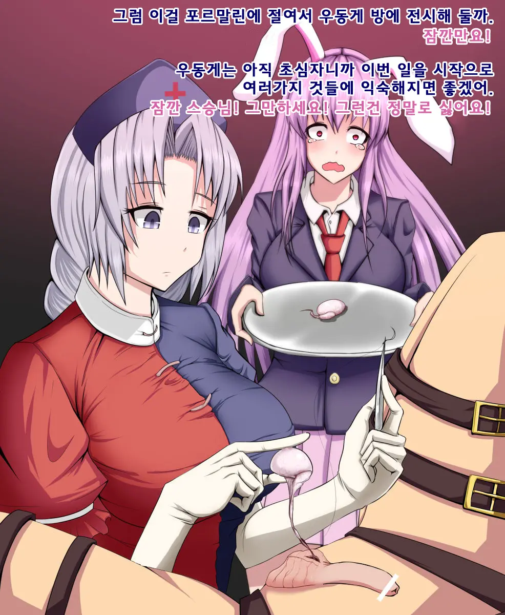 Eirin To Udonge No Kyousei Kougan Tekishutsu Shujutsu L 에이린과 우동게의 강제 고환 적출 수술